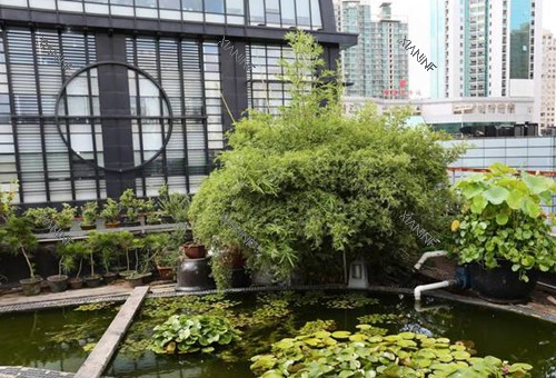 上海华美口腔外景环境.jpg 上海华美口腔外景环境.jpg