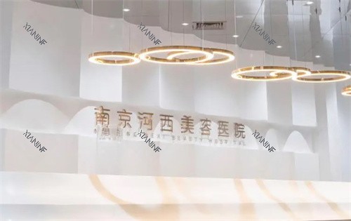 南京河西美容医院LOGO.jpg