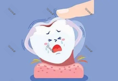 单颗牙齿漫画示意图.jpg 单颗牙齿漫画示意图.jpg