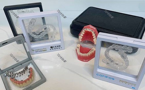 海口华美口腔牙齿模型图.jpg