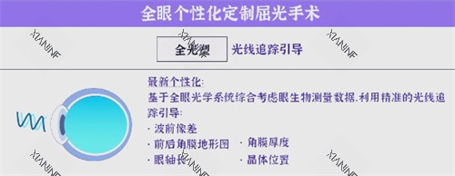 个性化全光塑简介.jpg