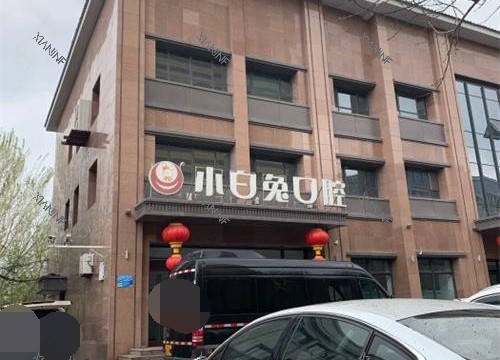 新疆乌鲁木齐兔博士口腔外观.jpg
