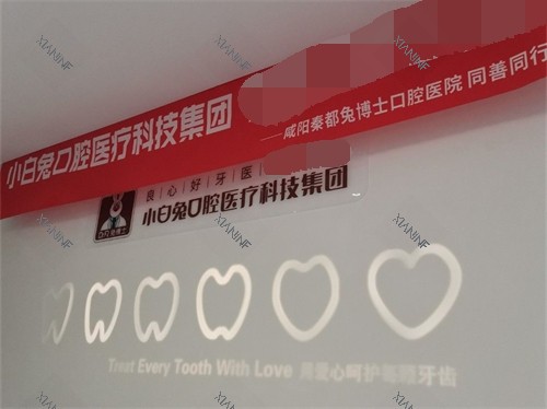 咸阳兔博士口腔品牌墙.jpg