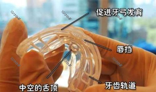 矫治器材料解析.jpg