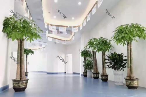 岳阳平江致远口腔内部环境.jpg
