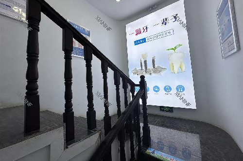 敦煌小白兔口腔内部环境.jpg