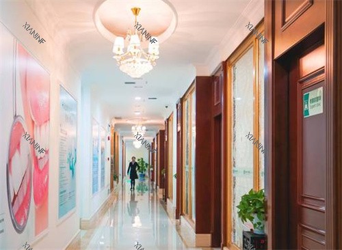 广州瑞华口腔海珠店走廊.jpg