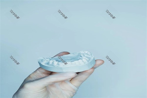 牙齿矫正模型展示.jpg