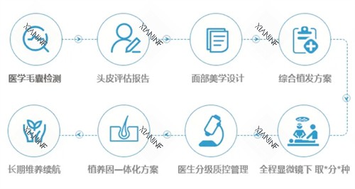 济南熙朵植发预约流程.jpg